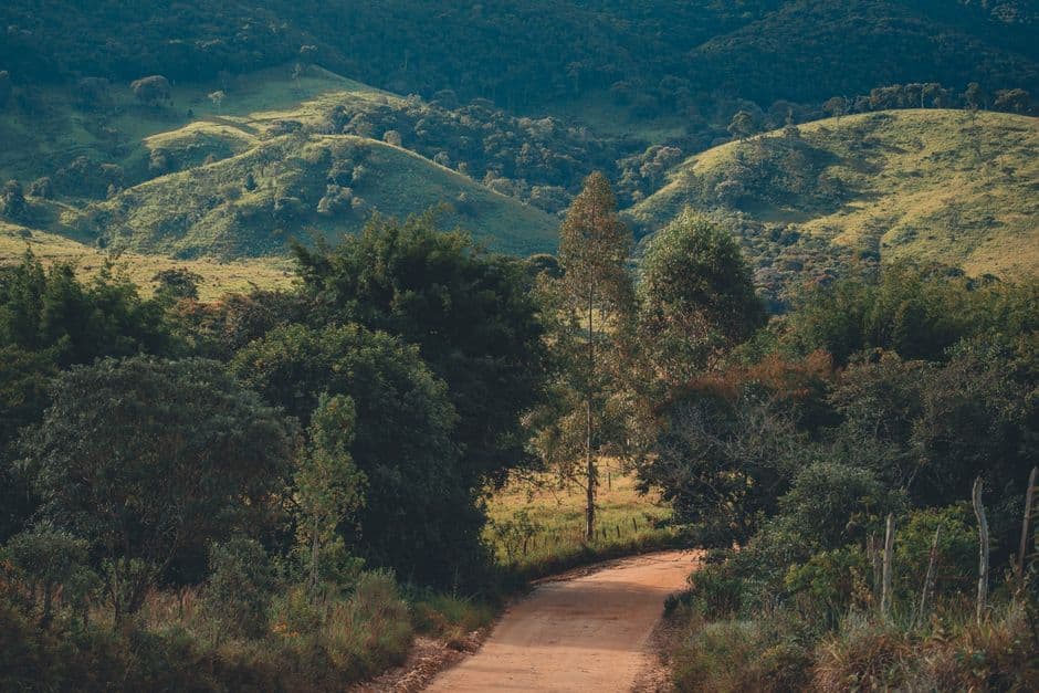 Explore the tranquil beauty of rolling green hills and a winding dirt road in this vibrant landscape photo.